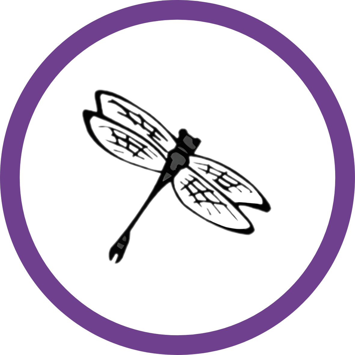 Infinitely More Life dragonfly logo